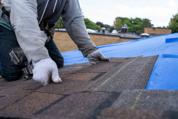 Best New Roof Installation  in Campti, LA